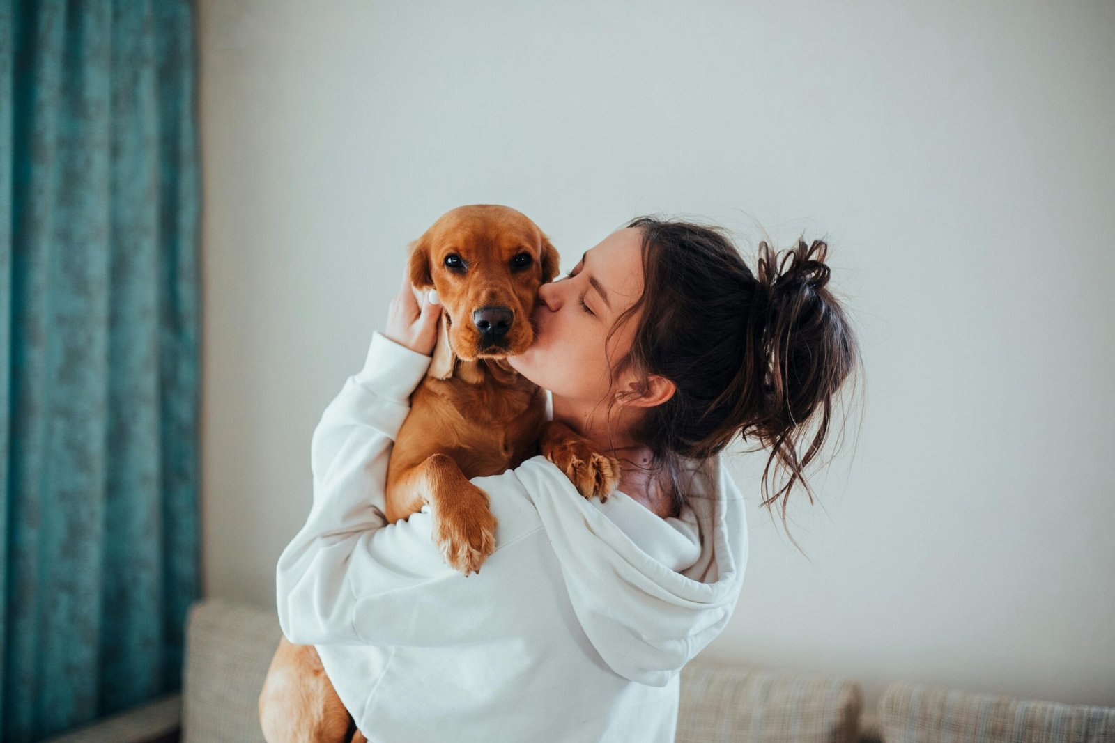 Cuántas horas puede estar un perro sin comer según su edad